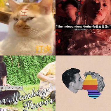 爽爽爽