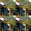 woody woody