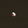 The Song L Like