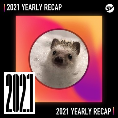 2021 个人年度精选之最