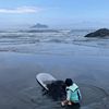 大胡子呵呵