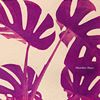 Feb Jazz/R&B/Rock