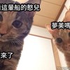 饶舌
