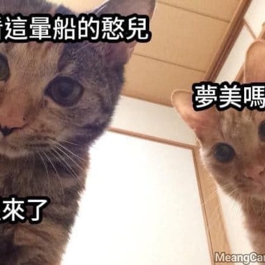 饶舌