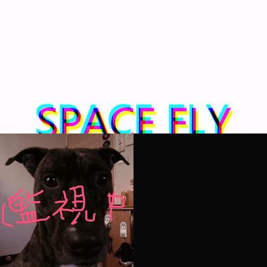 歌