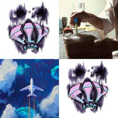 Fly