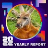 2022 个人年度精选