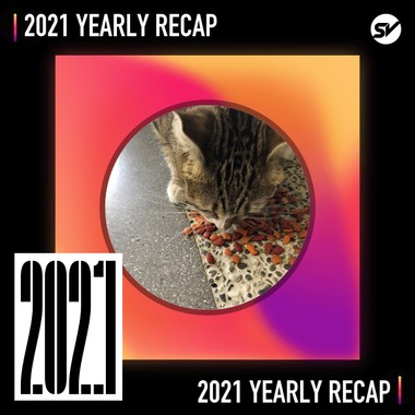 2021 个人年度精选之最