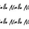 HelloNico