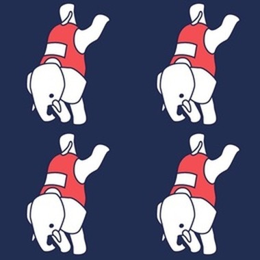 大象体操Elephant Gym