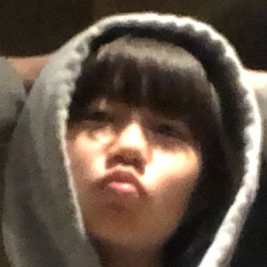 狗狗们的爱歌