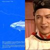喜欢的歌