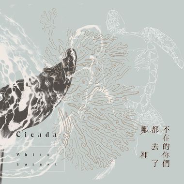 纯音乐