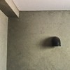 江の会