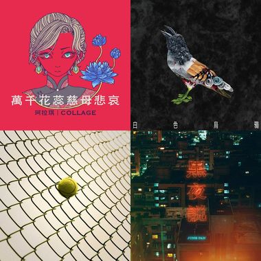 我的歌单 2