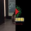 我的歌单  