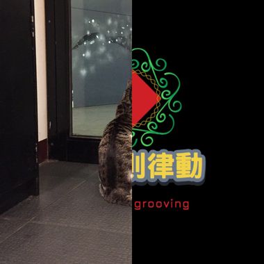 我的歌单  
