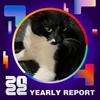 2022 个人年度精选