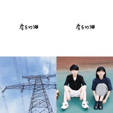 房东的猫