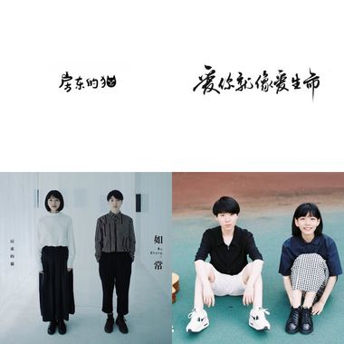 房东的猫