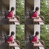 洪安妮  