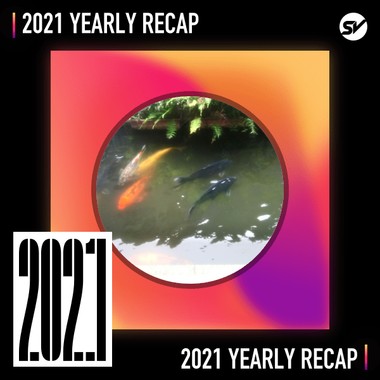 2021 个人年度精选之最