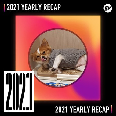 2021 个人年度精选之最
