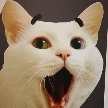 听