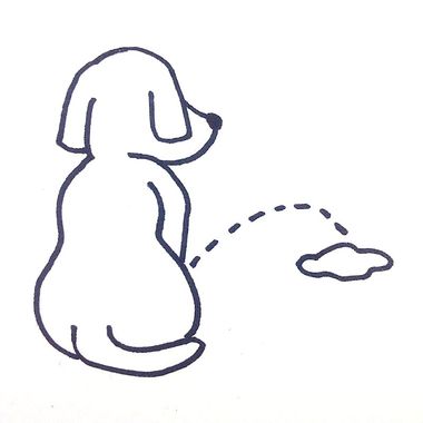 后摇