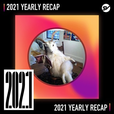 2021 个人年度精选之最
