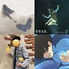 好听ㄉ