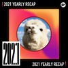 2021 个人年度精选之最