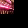 轻音乐(有演唱)