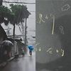 后摇