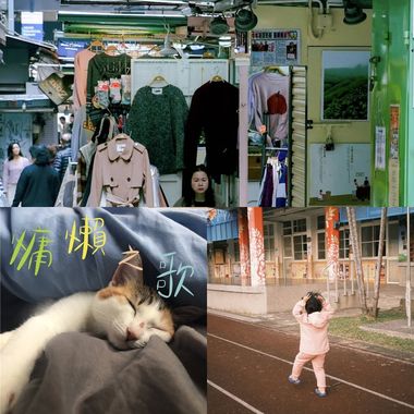 蝉