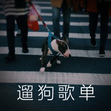 出门散步罗！遛狗时必备的歌单