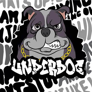 UnderDog 嘻哈音乐节 DJ Mix