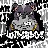 UnderDog 嘻哈音乐节 DJ Mix