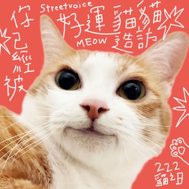 有猫咪的Meow歌曲