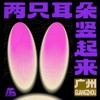 两只耳朵竖起来！街声大登陆 广州站