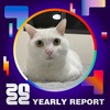 2022 个人年度精选