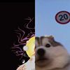 好晕好晕