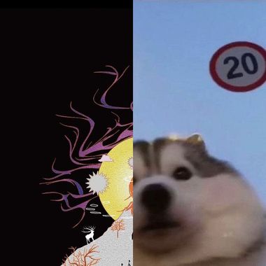 好晕好晕