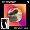 2021 个人年度精选之最