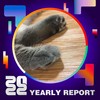 2022 个人年度精选
