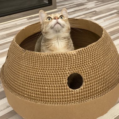 测试歌单