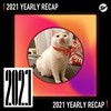 2021 个人年度精选之最