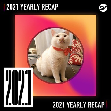 2021 个人年度精选之最