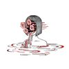 My Playlist