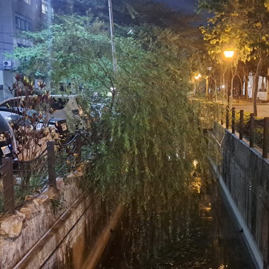 静夜思绪